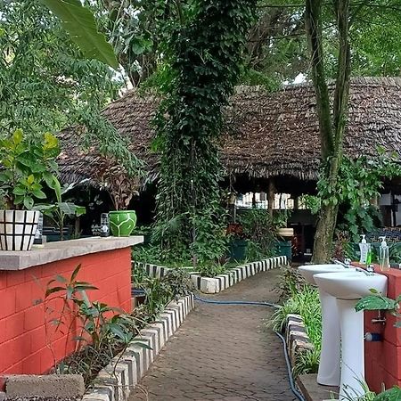 Ibrahim Garden Hostel Arusha Exterior foto