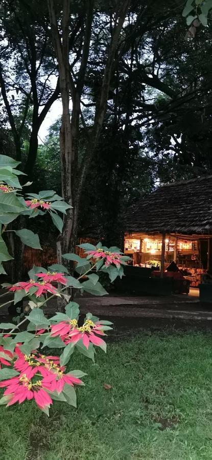 Ibrahim Garden Hostel Arusha Exterior foto
